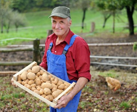 Happy farmer show his organic potato